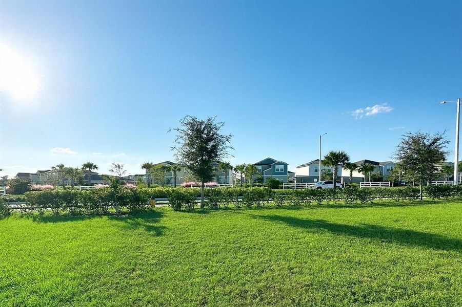 Natural landscape and outdoor views near Harmony at Lake Eloise in Winter Haven (Image 13). Natural landscape and outdoor views near Harmony at Lake Eloise in Winter Haven (Image 13).
