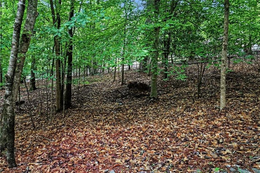 Natural landscape and outdoor views near  in Marietta (Image 29).