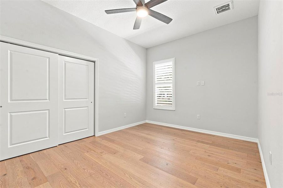 Spacious, unfurnished interior of a new home in , Dunedin (Image 22).