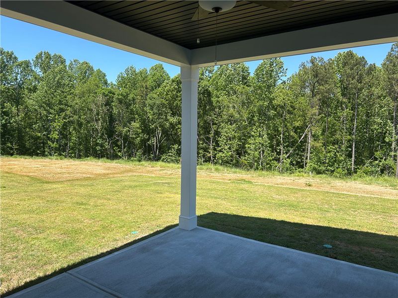 Enjoy nature's embrace from this peaceful covered