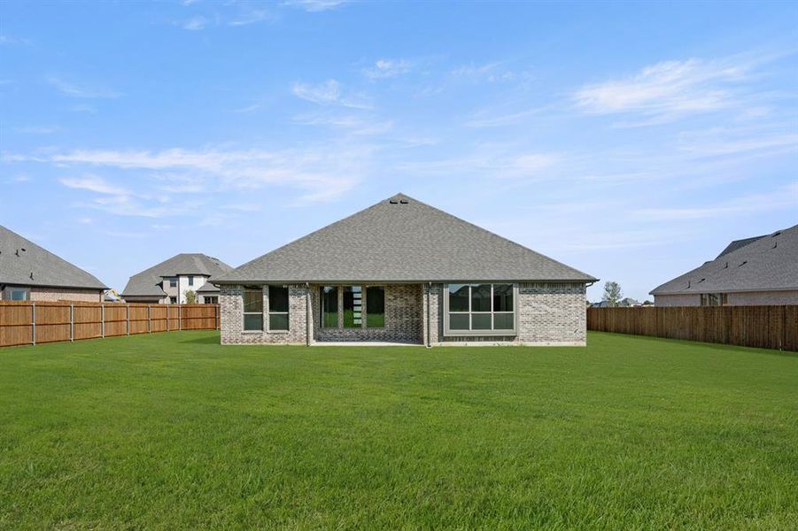 113 Grey wolf- Back-1 113 Grey wolf- Back-1