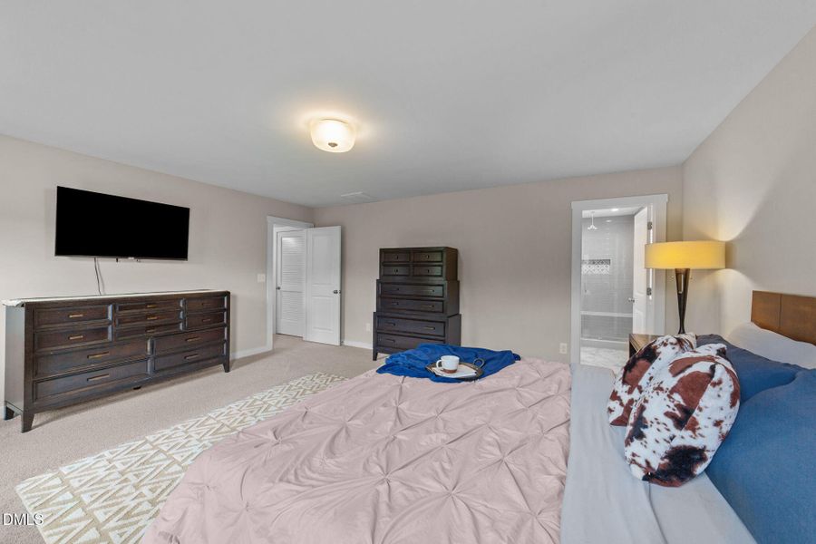 42-web-or-mls-VB4A2351