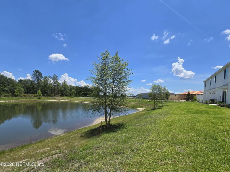 Natural landscape and outdoor views near  in Middleburg (Image 28).