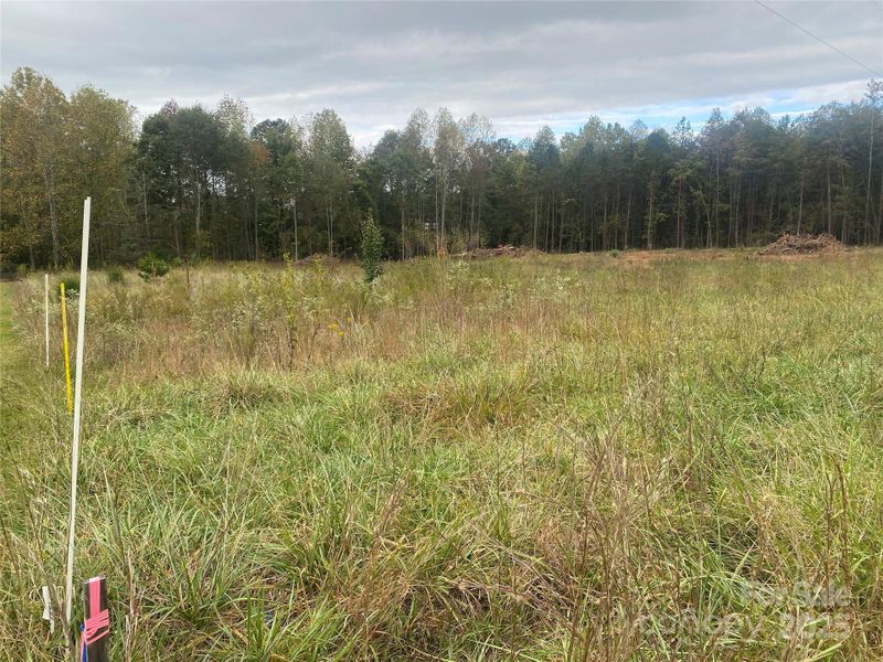 Natural landscape and outdoor views near in Forest City (Image 13). Natural landscape and outdoor views near in Forest City (Image 13).