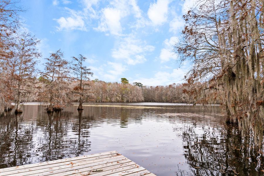 Natural landscape and outdoor views near in Elloree (Image 36). Natural landscape and outdoor views near in Elloree (Image 36).