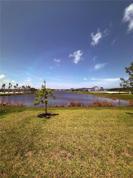 Natural landscape and outdoor views near Seagrove in Fort Pierce (Image 61). Natural landscape and outdoor views near Seagrove in Fort Pierce (Image 61).