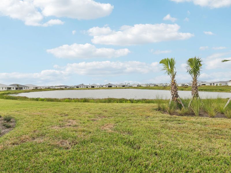 Natural landscape and outdoor views near Crescent Lakes - Signature Series in Punta Gorda (Image 20).
