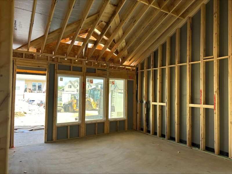 225 Coyote Willow Way - Under Construction