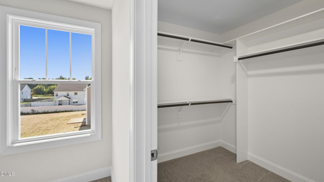 29__dsc1011 29__dsc1011