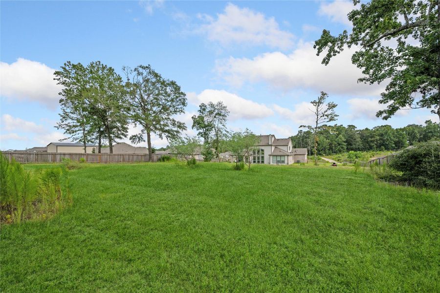 Natural landscape and outdoor views near  in Willis (Image 18).