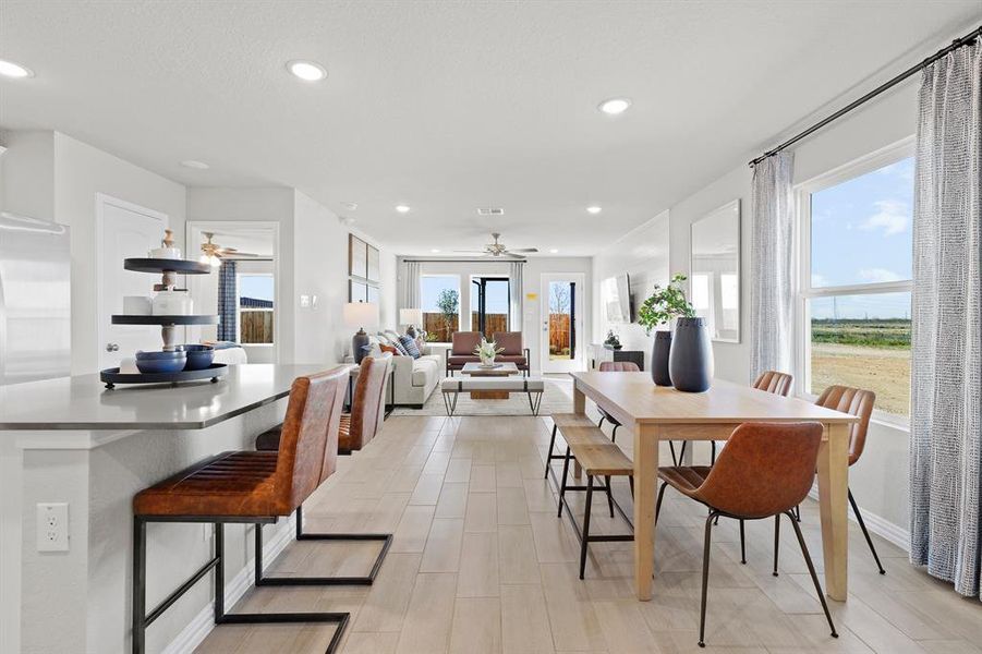 Ellis Representative Photo 01