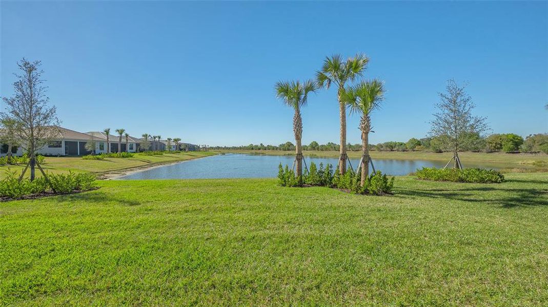 Natural landscape and outdoor views near  in Sarasota (Image 78).