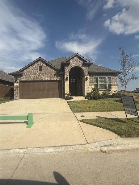 10345 Lenten Rose 10345 Lenten Rose