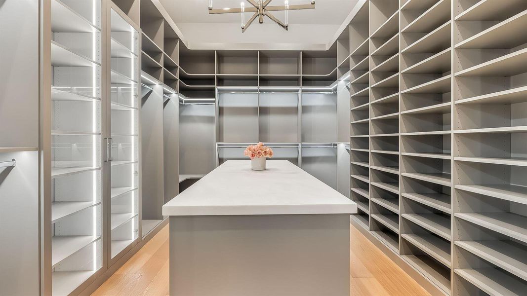 Primary Closet