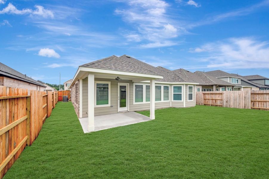 Backyard Backyard