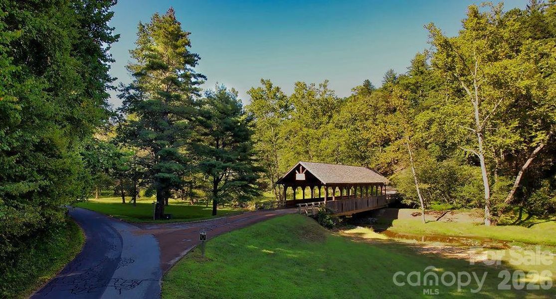 Natural landscape and outdoor views near  in Hendersonville (Image 31).