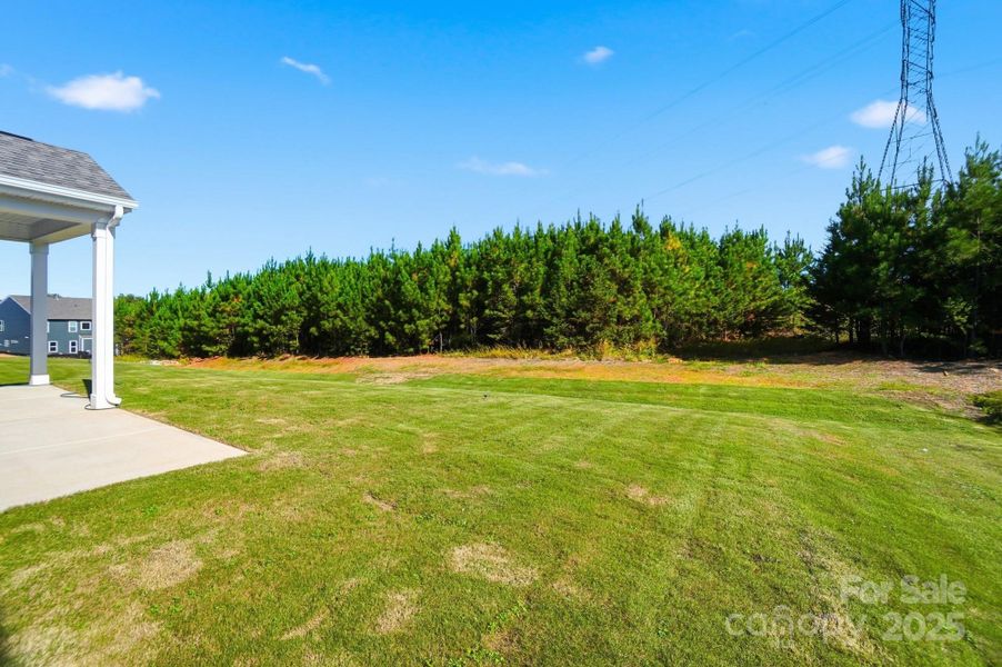 Natural landscape and outdoor views near The Enclave at Laurelbrook in Sherrills Ford (Image 43).