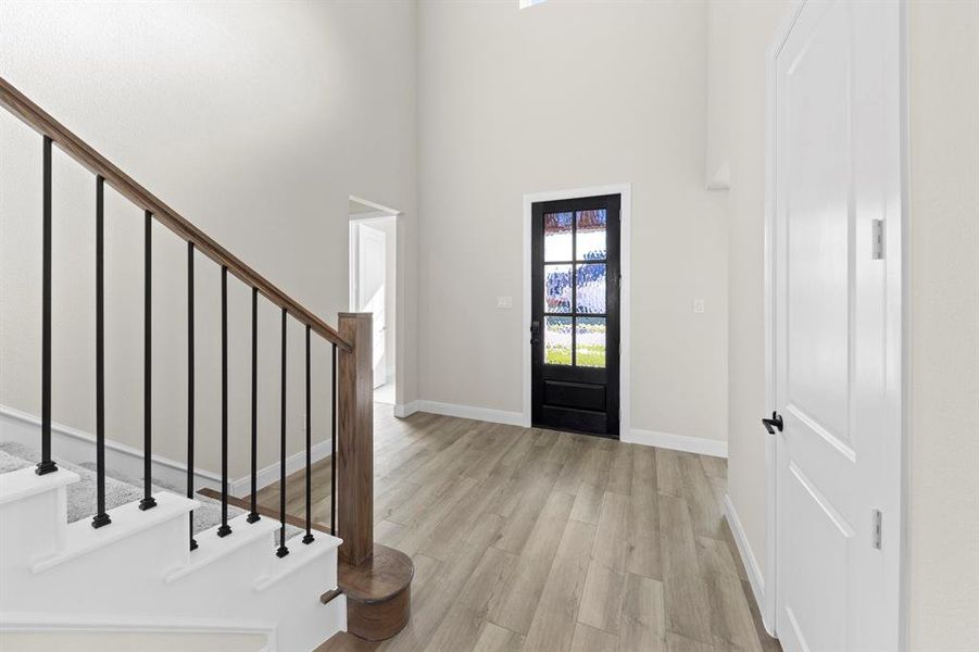 2_03. 629 Bunchberry - Entry 2_03. 629 Bunchberry - Entry