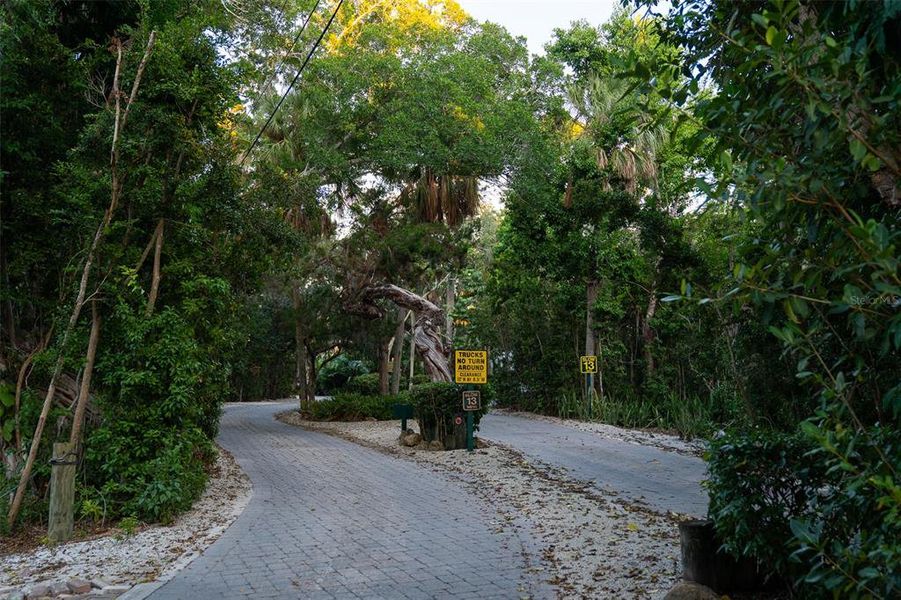 Natural landscape and outdoor views near  in Sarasota (Image 17).