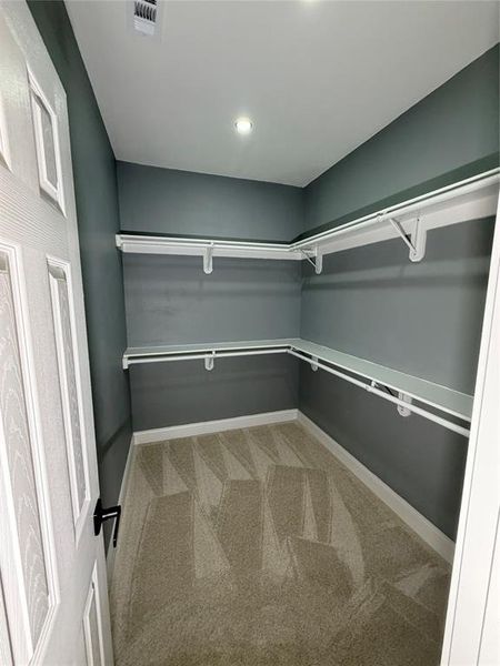 Walk-in closet with neutral-toned carpeting, ample shelving and hanging rods, recessed ceiling lighting, and a crisp white trim