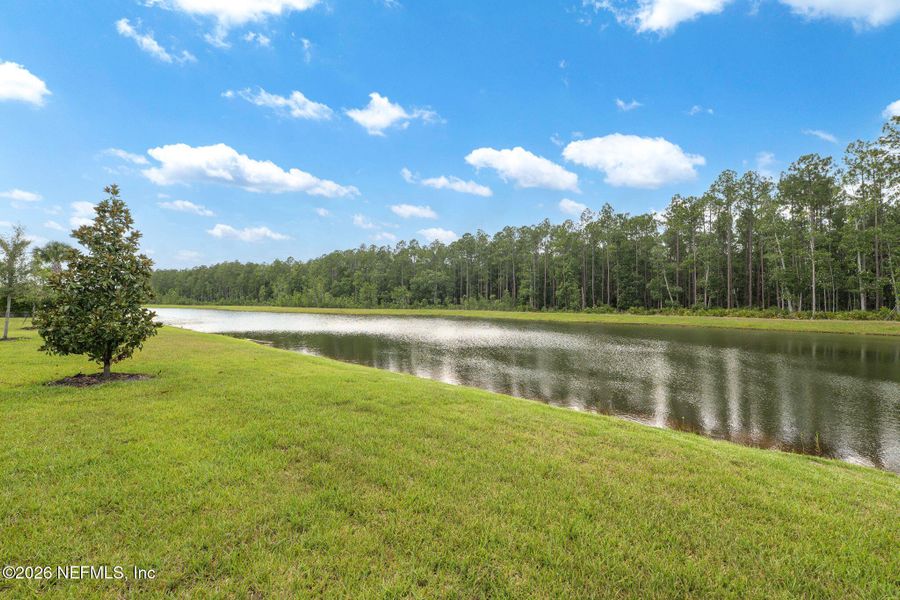 Natural landscape and outdoor views near  in St. Augustine (Image 24).