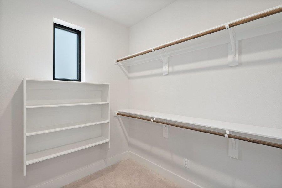 Walk in closet with light colored carpet