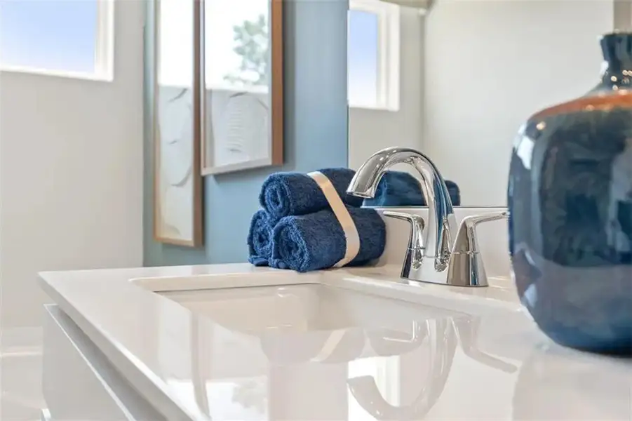 Close-up of interior finishes inside a home in The Reserve at Gainesville Township, Gainesville (Image 18).