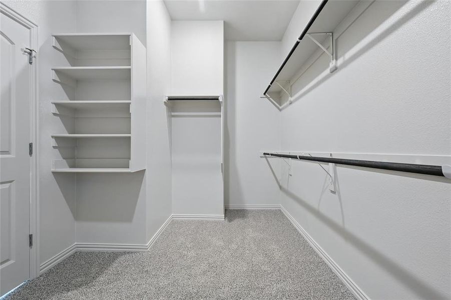 Walk in closet featuring carpet Walk in closet featuring carpet