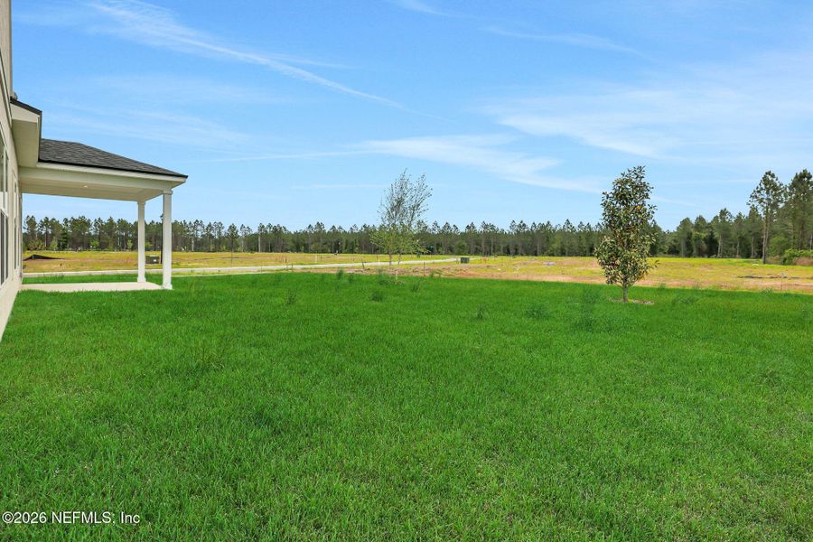 Exterior details and patio area of a home in Amberly, Green Cove Springs (Image 28).