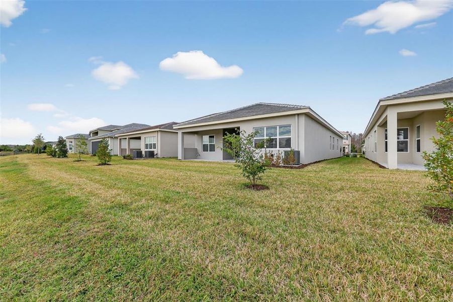 Exterior details and patio area of a home in Winding Ridge, Wesley Chapel (Image 24).