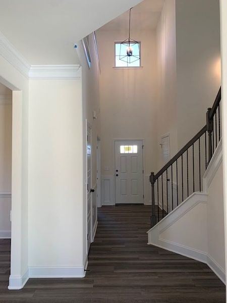 Spacious, unfurnished interior of a new home in Royal Pines, Trinity (Image 23).