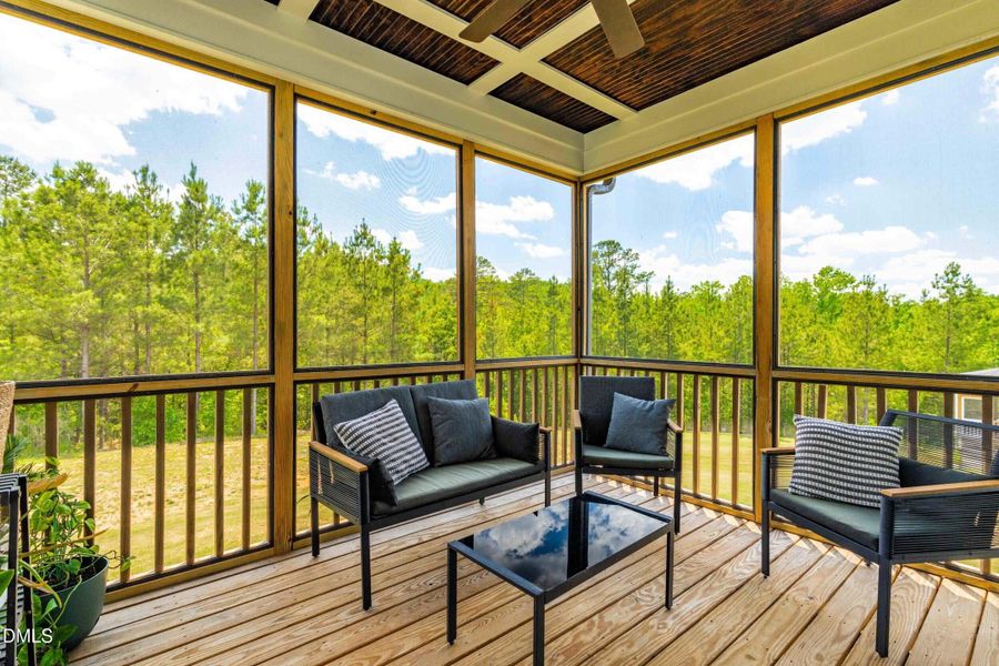 Screen Porch Screen Porch