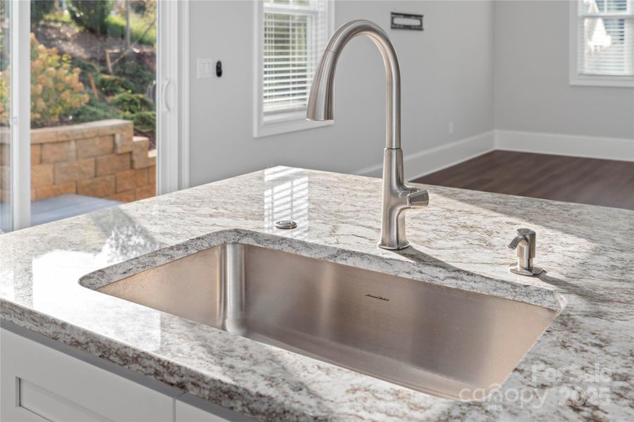 Apartment Kitchen Sink on Island