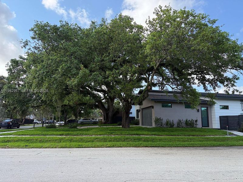 Natural landscape and outdoor views near  in Fort Lauderdale (Image 32).