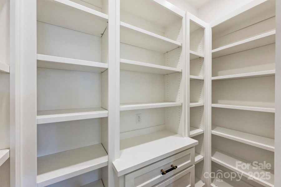 Walk in Pantry w/ shelves and drawers