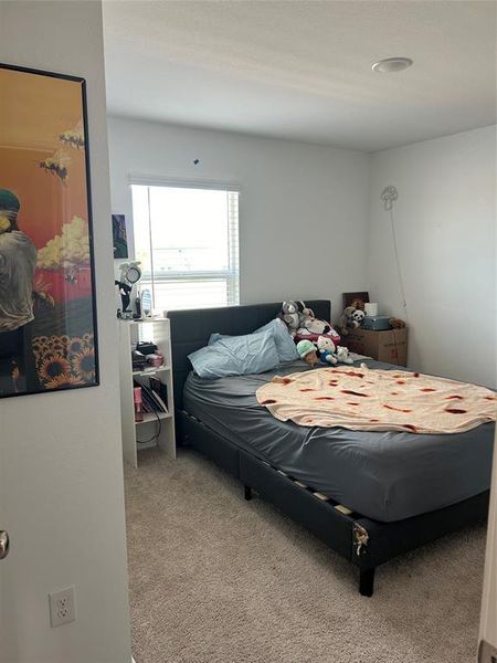 View of carpeted bedroom View of carpeted bedroom