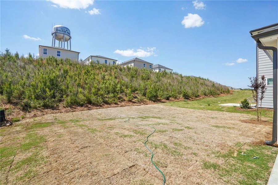 Natural landscape and outdoor views near Hawthorne Station in College Park (Image 38).