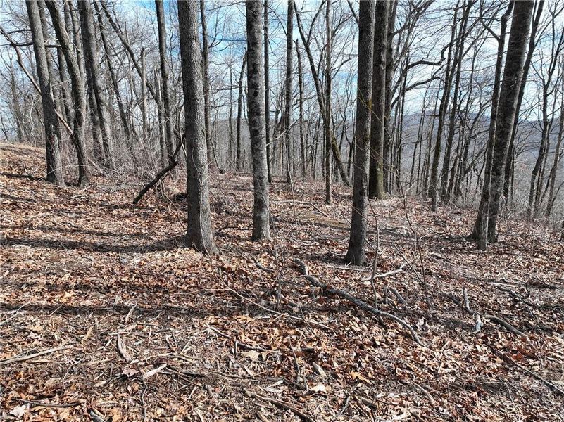 Image 39 of a home in .