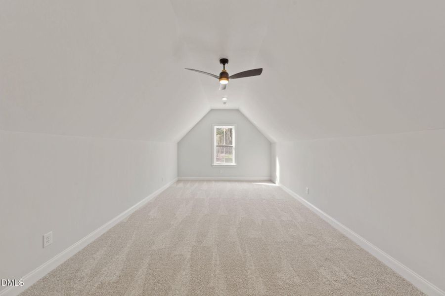 50-web-or-mls-VB4A3754