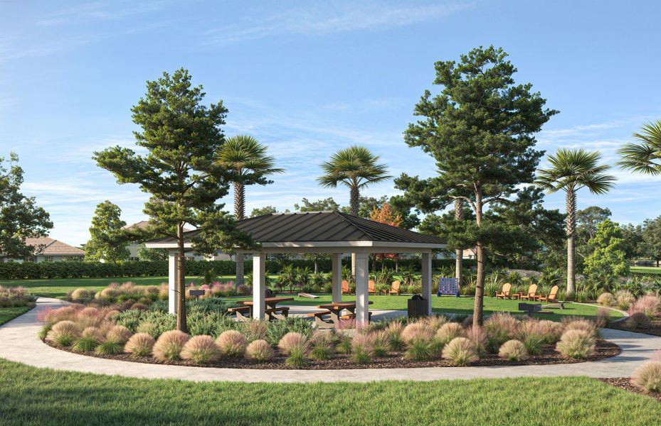 Community amenities in Riverwood, Zephyrhills (Image 27).