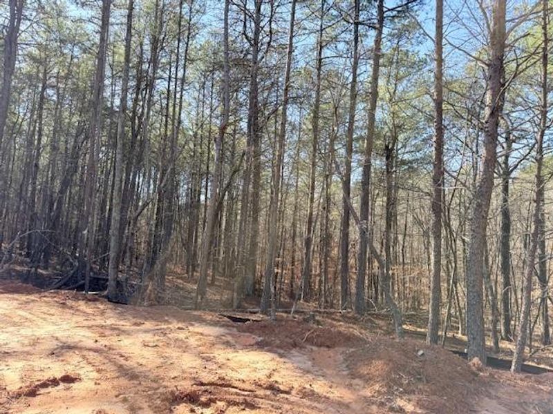 Natural landscape and outdoor views near  in Dallas (Image 6).