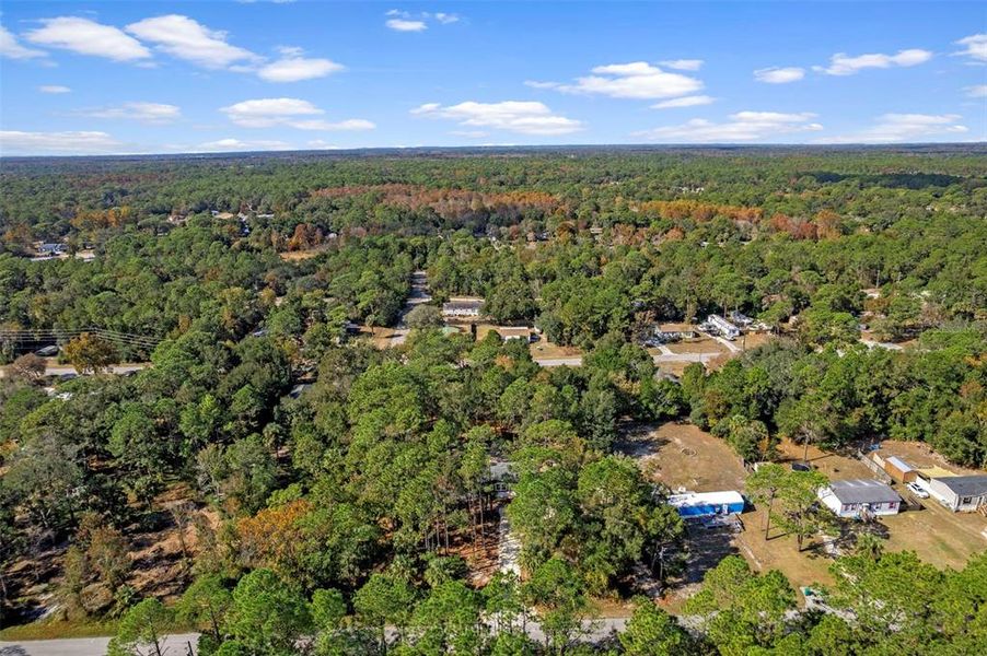 Natural landscape and outdoor views near in Homosassa (Image 38). Natural landscape and outdoor views near in Homosassa (Image 38).