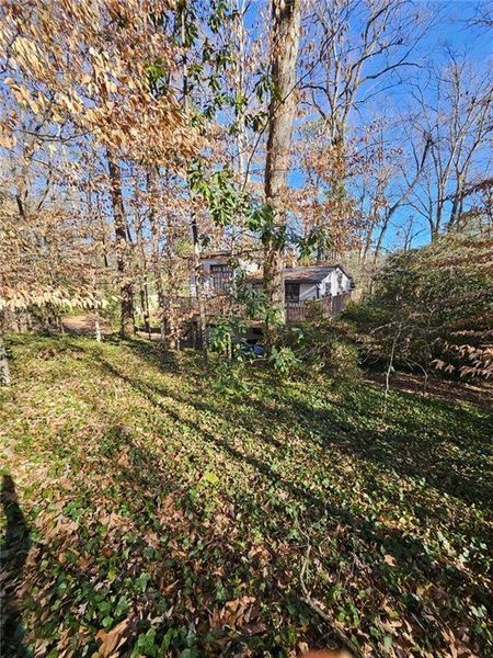 Natural landscape and outdoor views near  in Atlanta (Image 9).