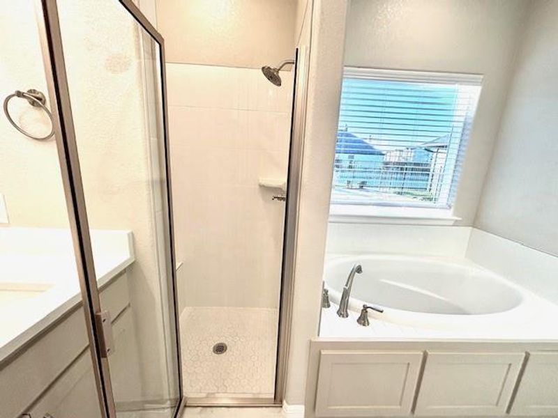 Bathroom featuring vanity and independent shower and bath