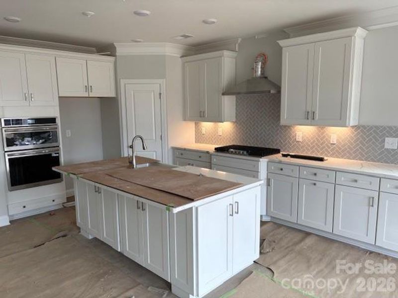 Construction progress on Homesite 195