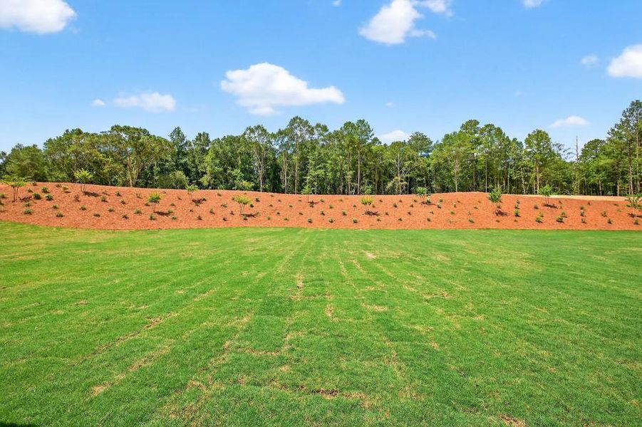 Image 62 of a home in Pinegate.