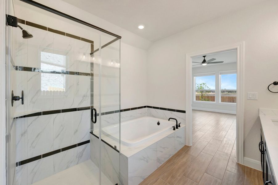Owner's Bath