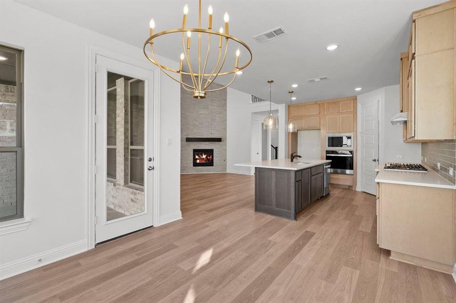 DAL_Painted Tree_Mineola_3916 Attwater Street (19)