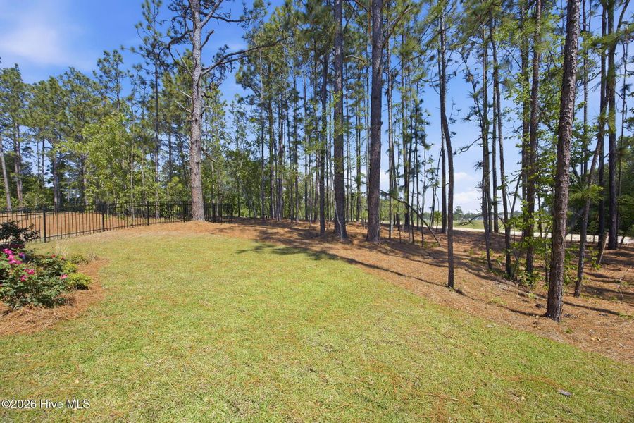 Natural landscape and outdoor views near Legacy Lakes in Aberdeen (Image 32).