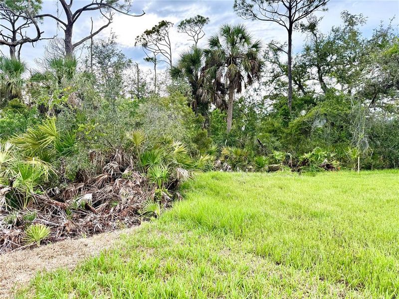 Image 28 of a home in Rotonda.